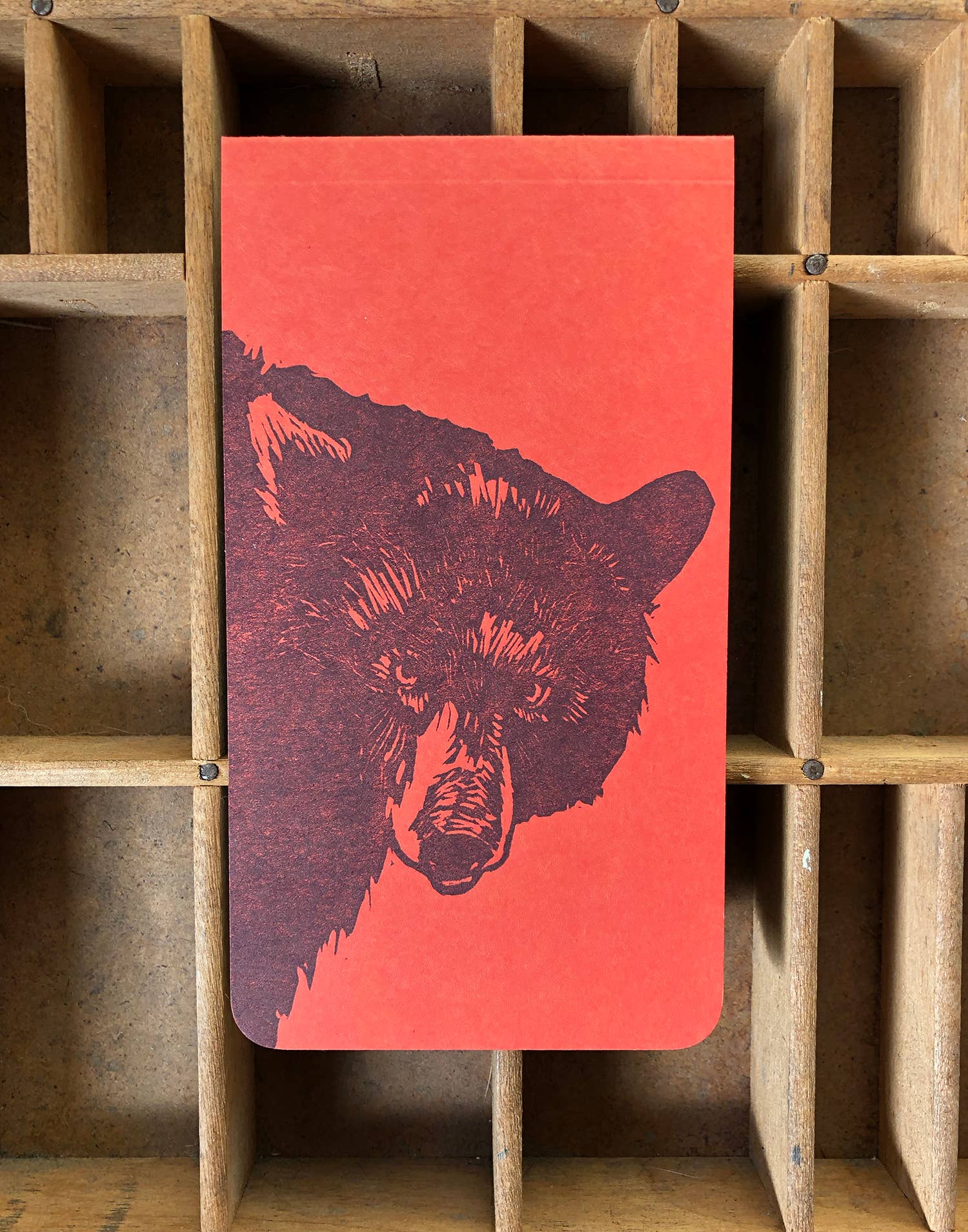 Bear jotter notepad