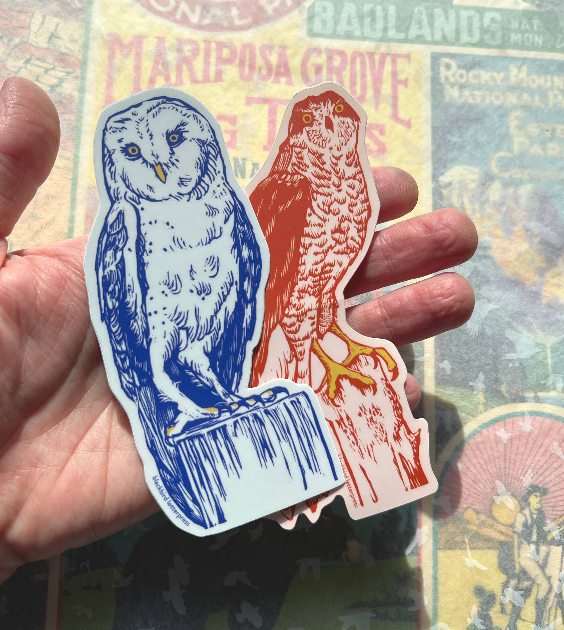 Barn Owl sticker