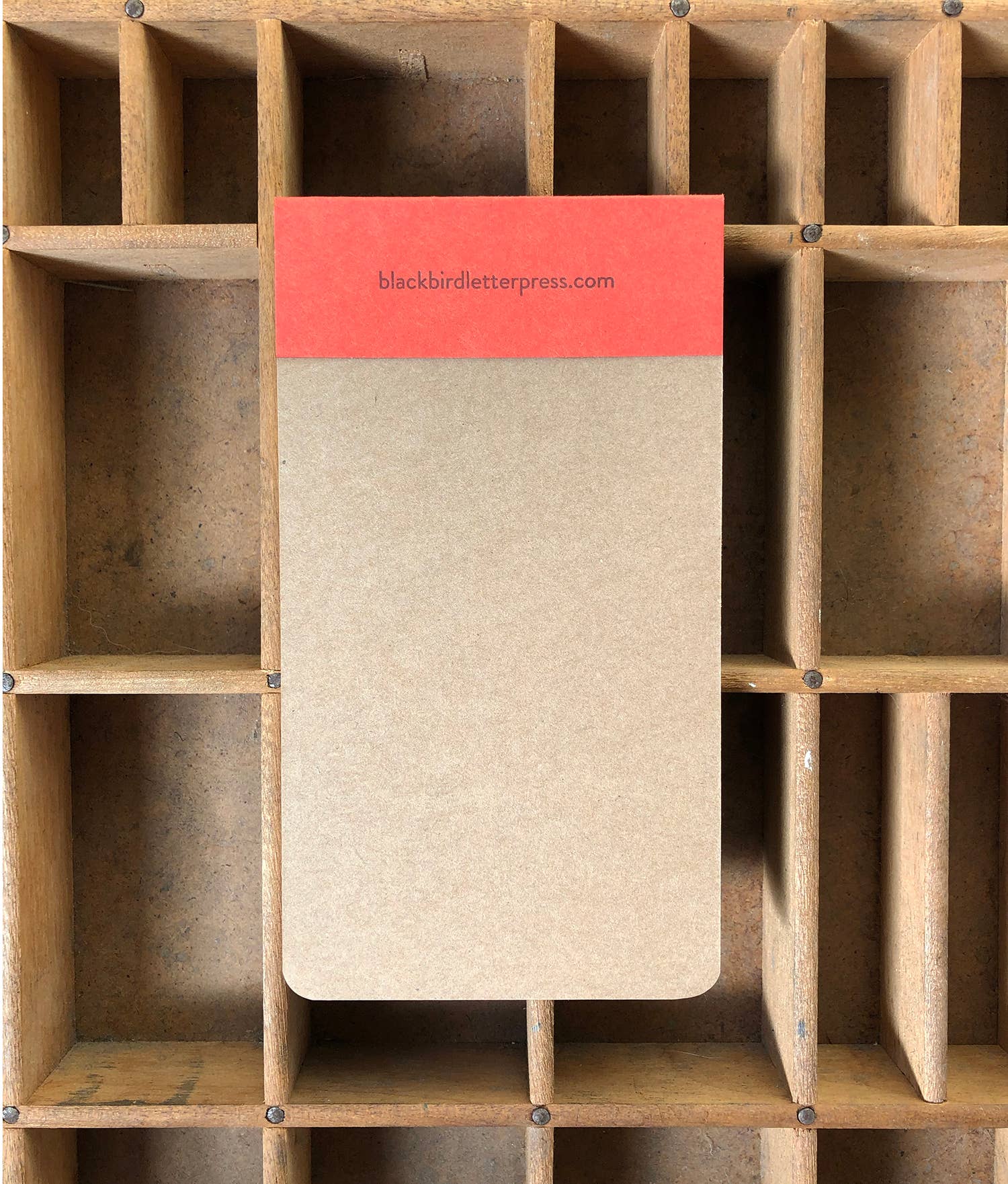 Bear jotter notepad