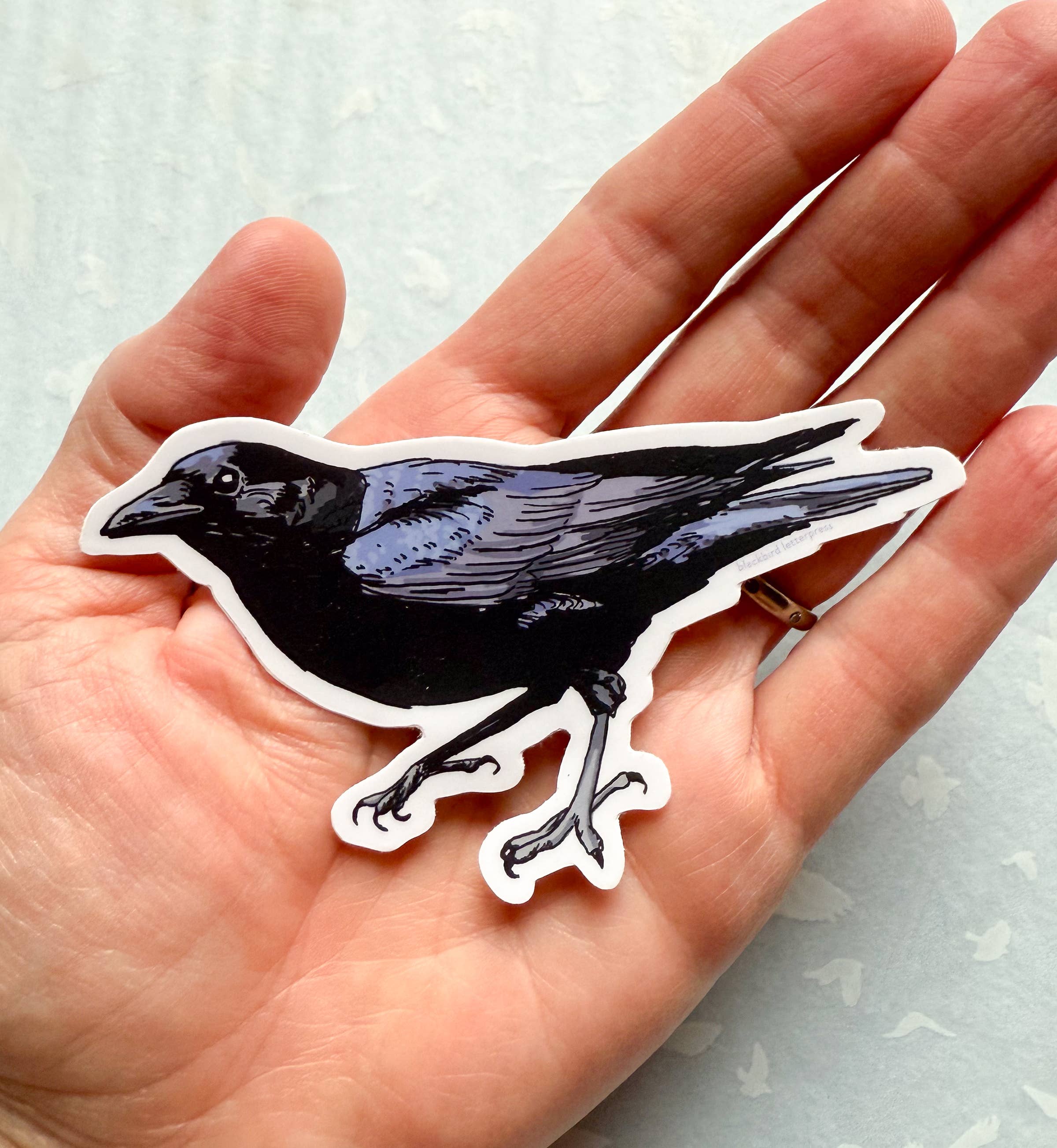 American crow sticker