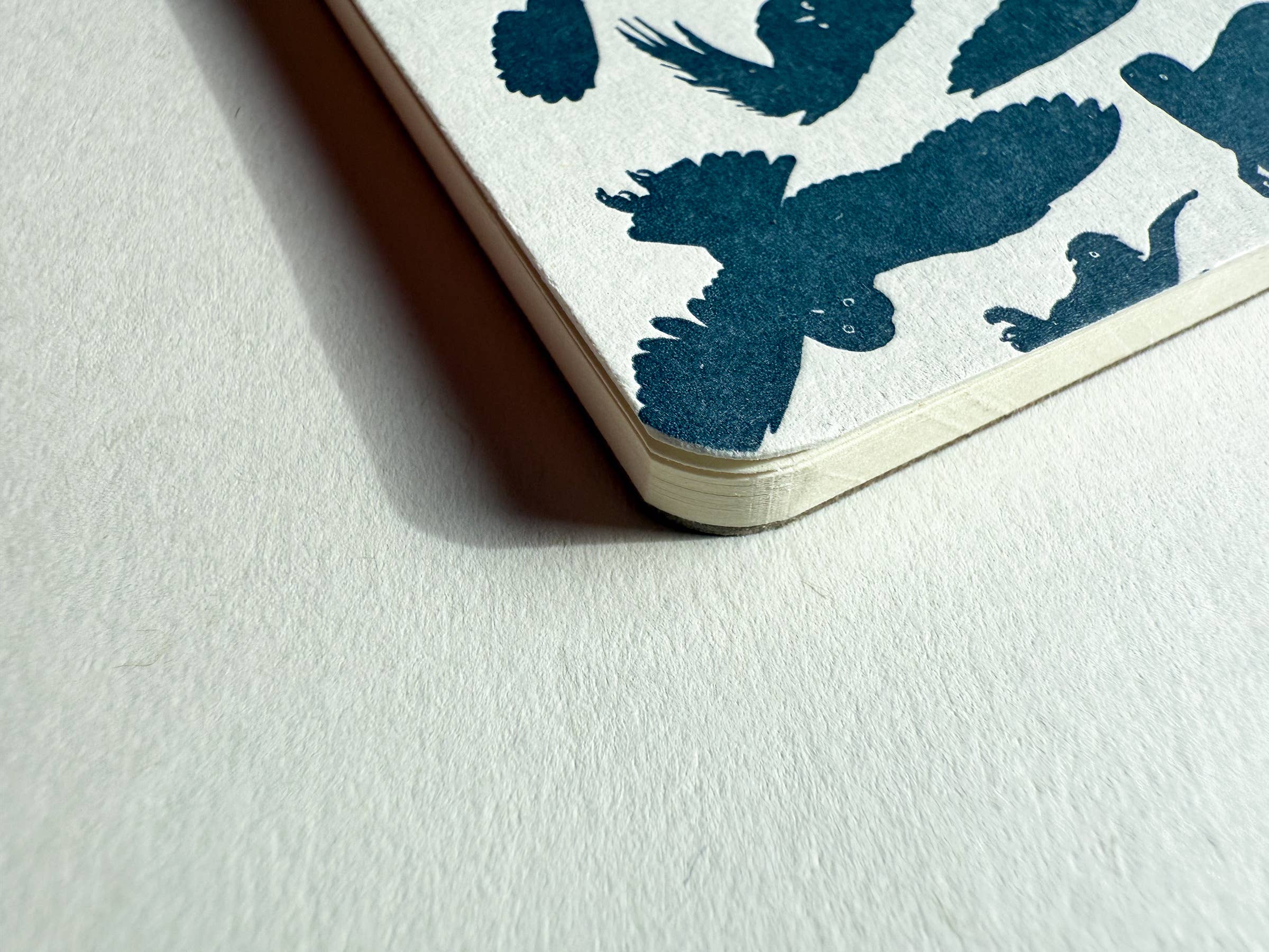 Wisdom of owls jotter notepad