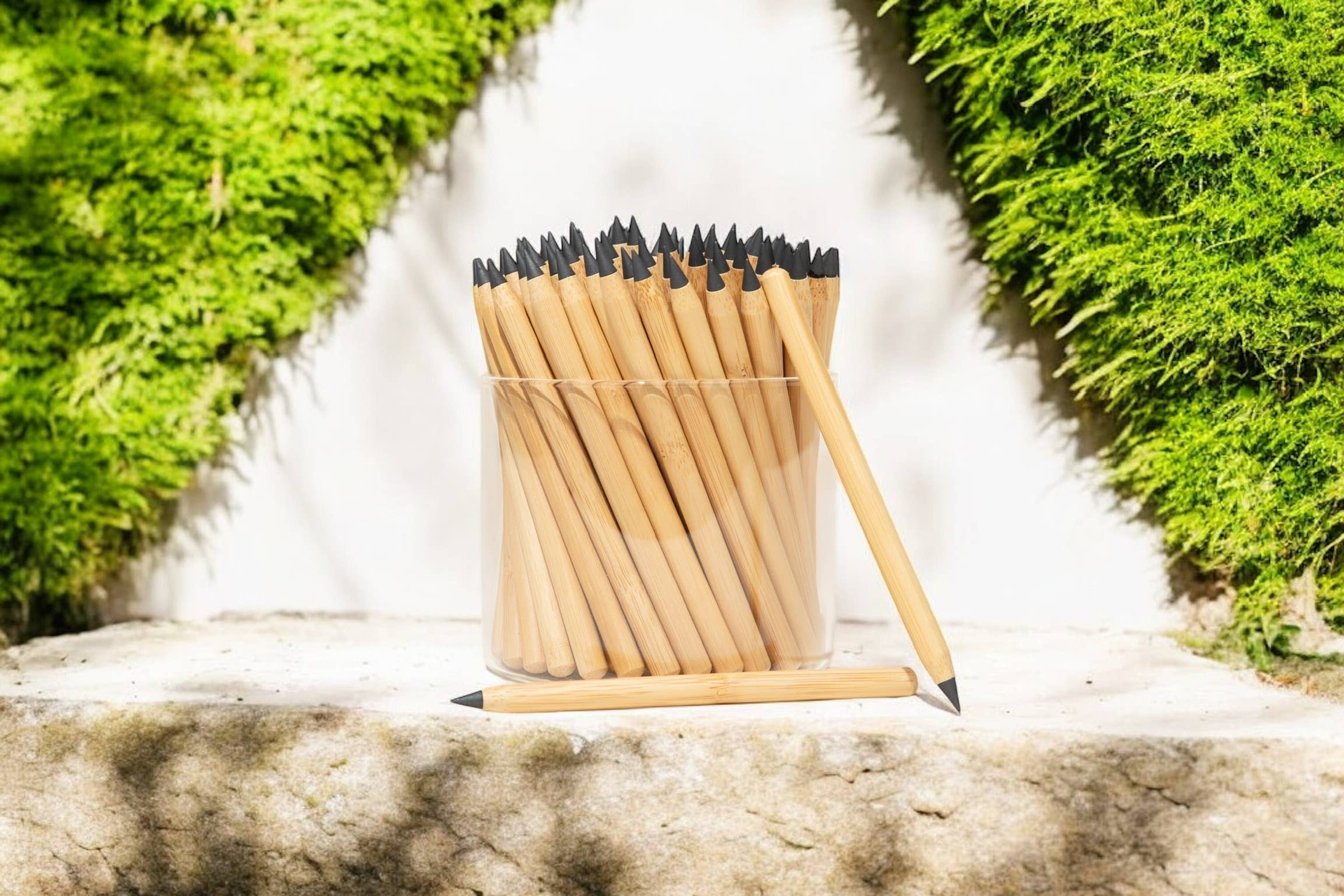 Never Ending Bamboo Pencil