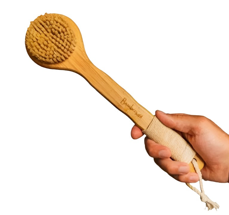 Dry Brush/Shower Brush