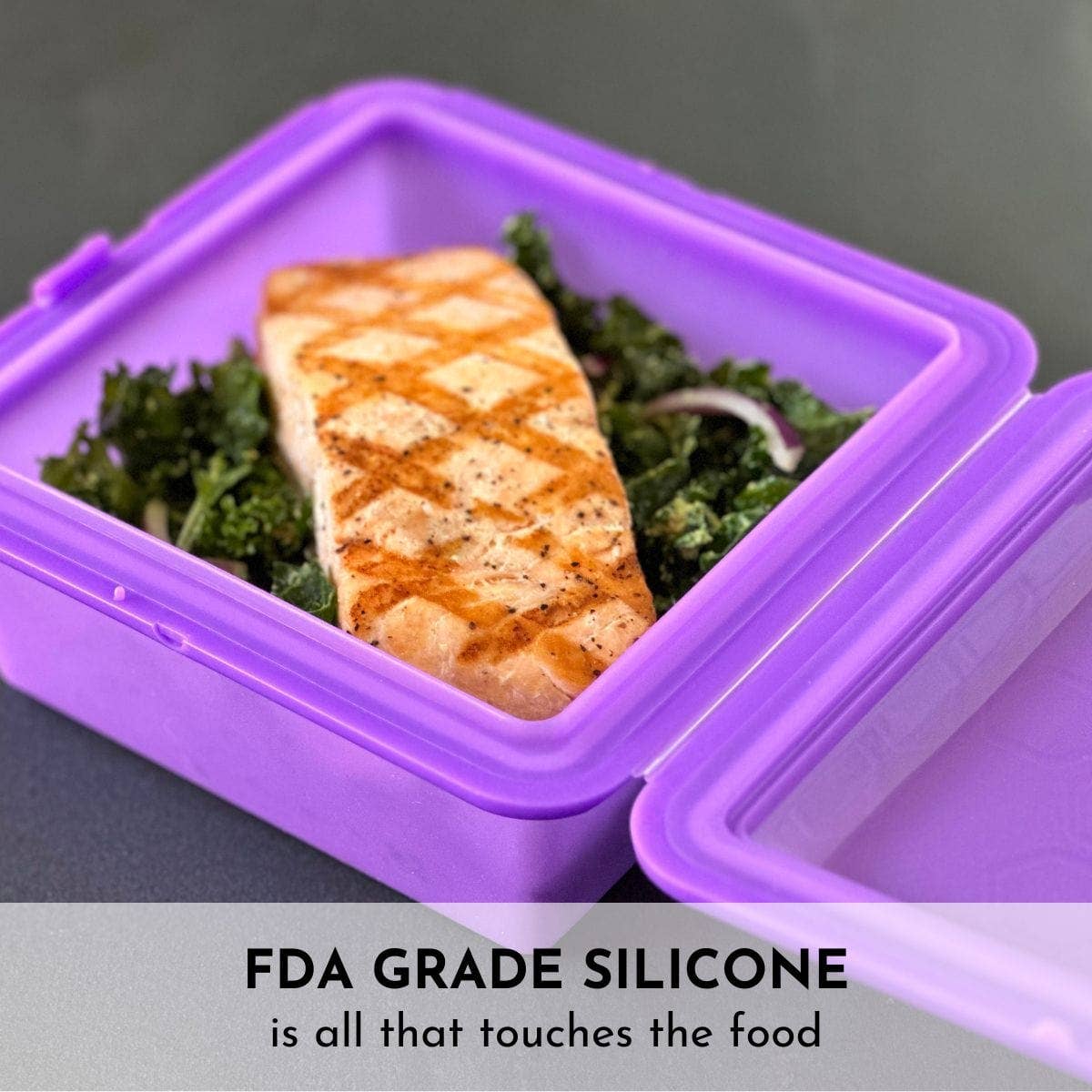 SoftShell XL Snap-Close Silicone Food Storage Container