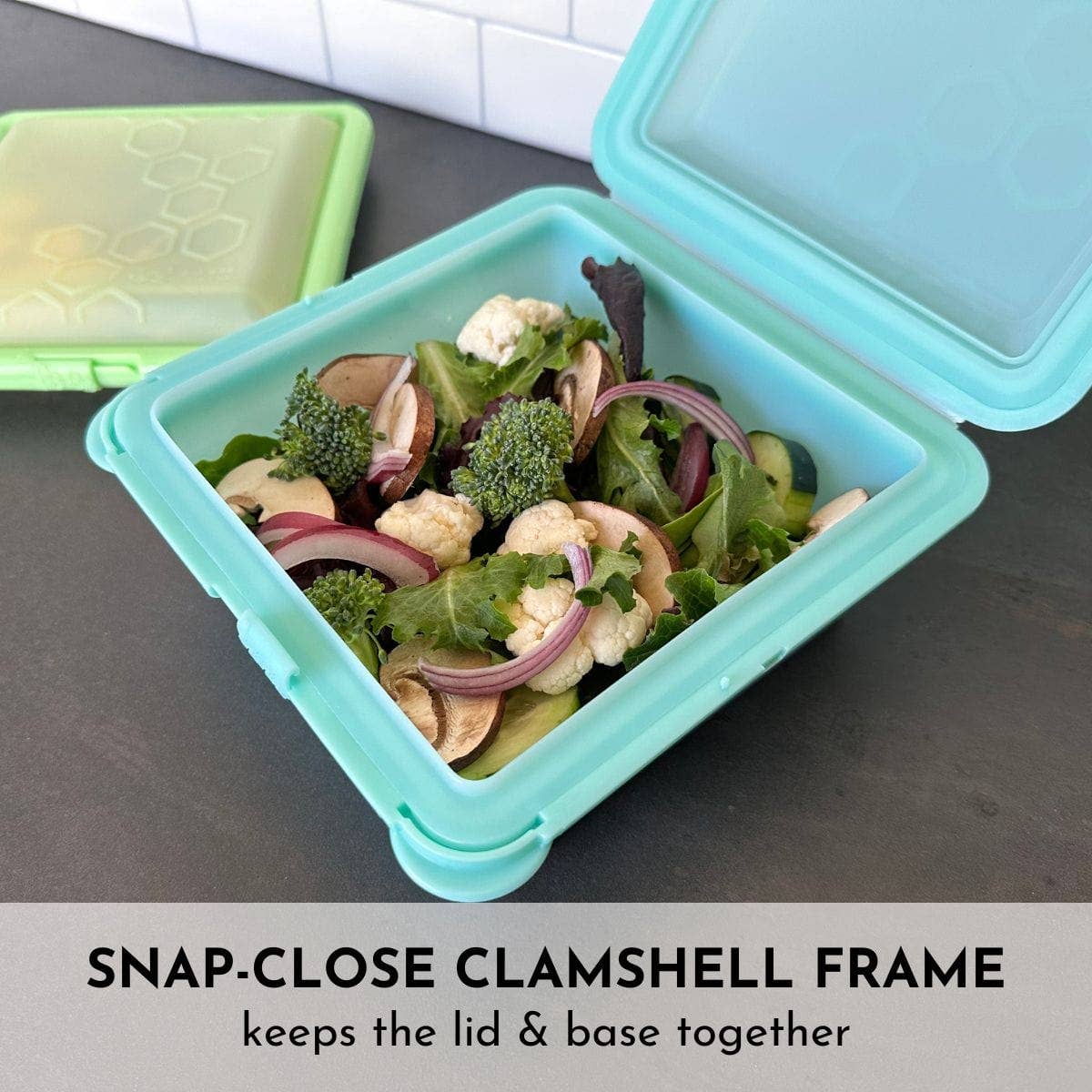 SoftShell XL Snap-Close Silicone Food Storage Container
