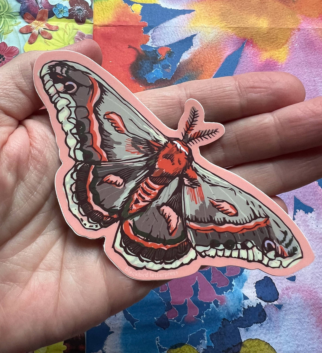 Cecropia moth sticker
