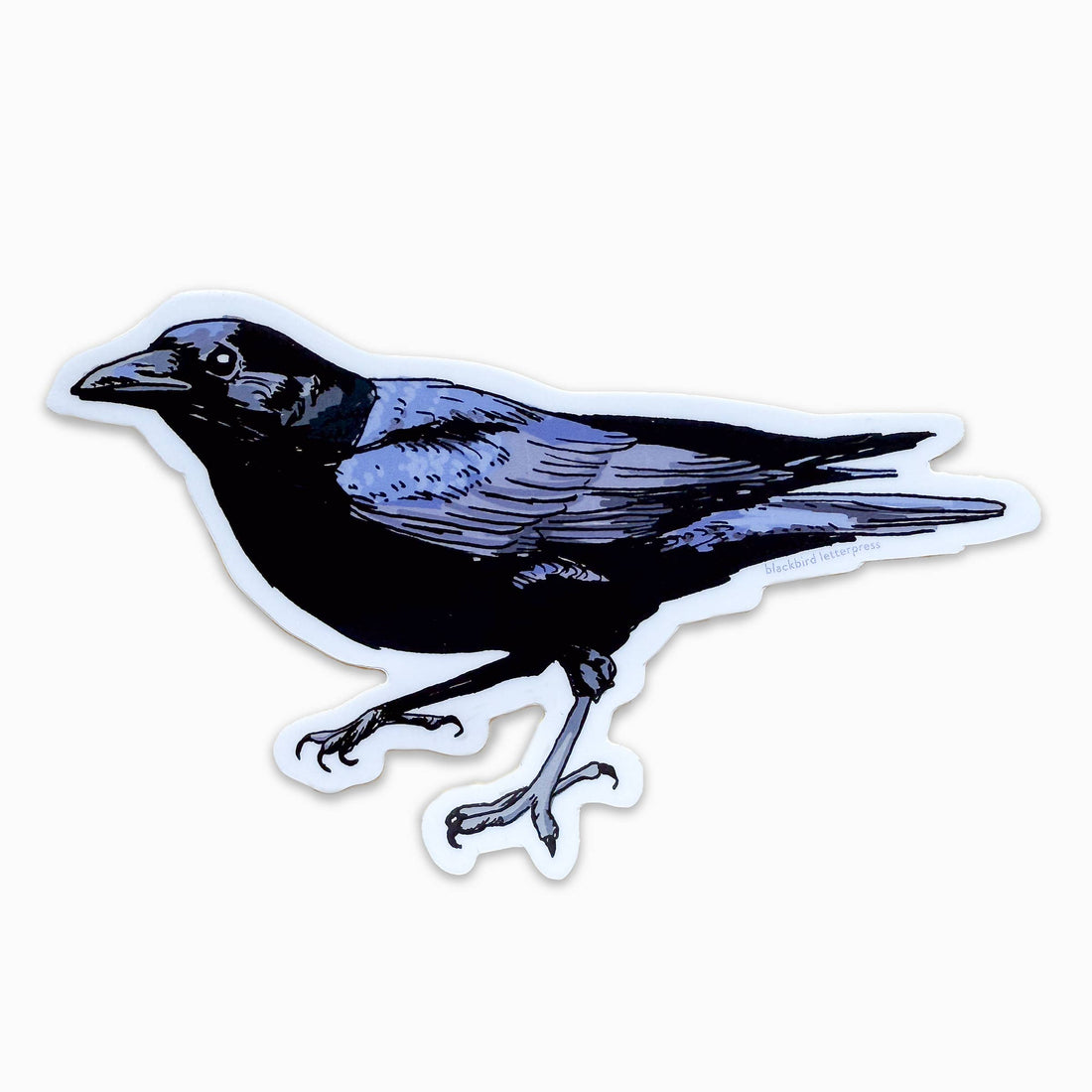American crow sticker