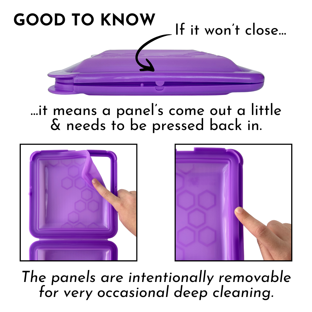 SoftShell Snap-Close Silicone Food Storage Container