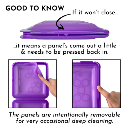SoftShell Snap-Close Silicone Food Storage Container