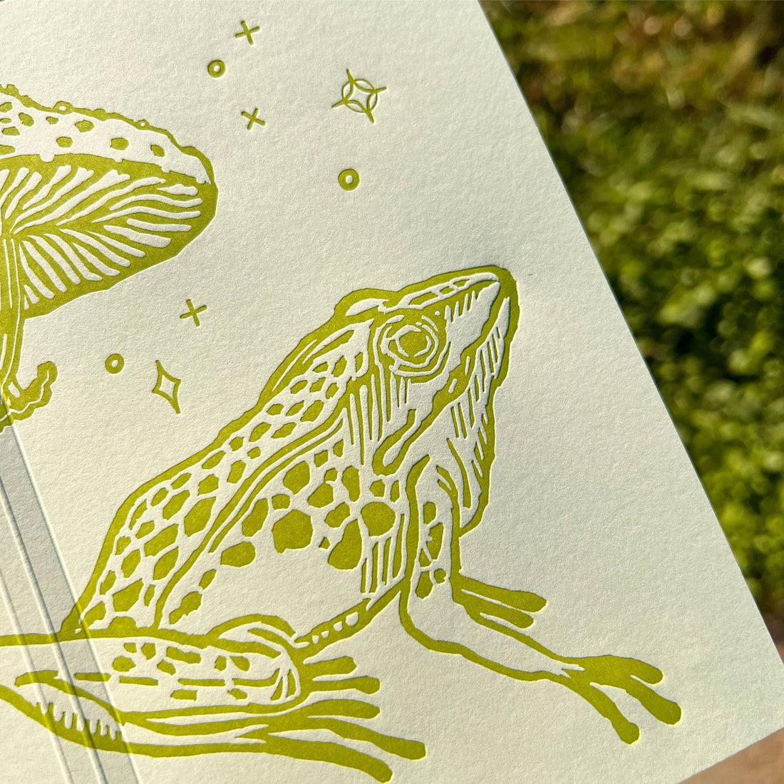 Frog and mushroom large notebook