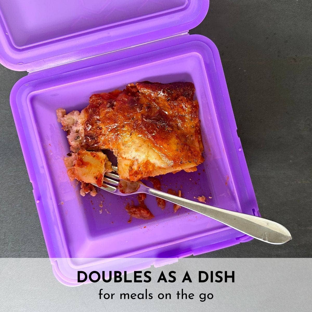 SoftShell XL Snap-Close Silicone Food Storage Container
