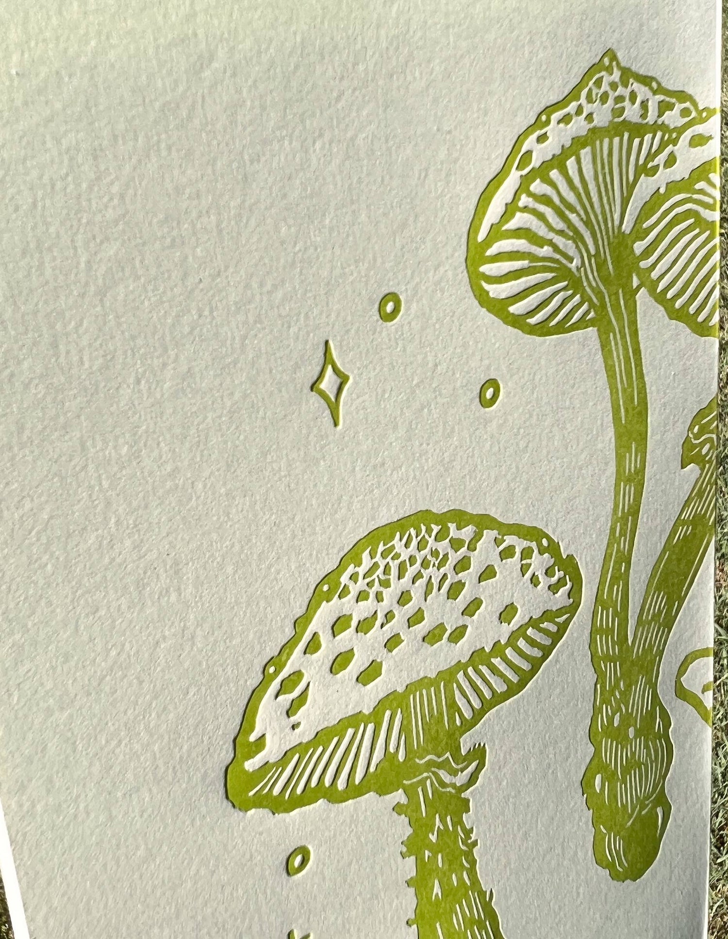 Frog and mushroom large notebook