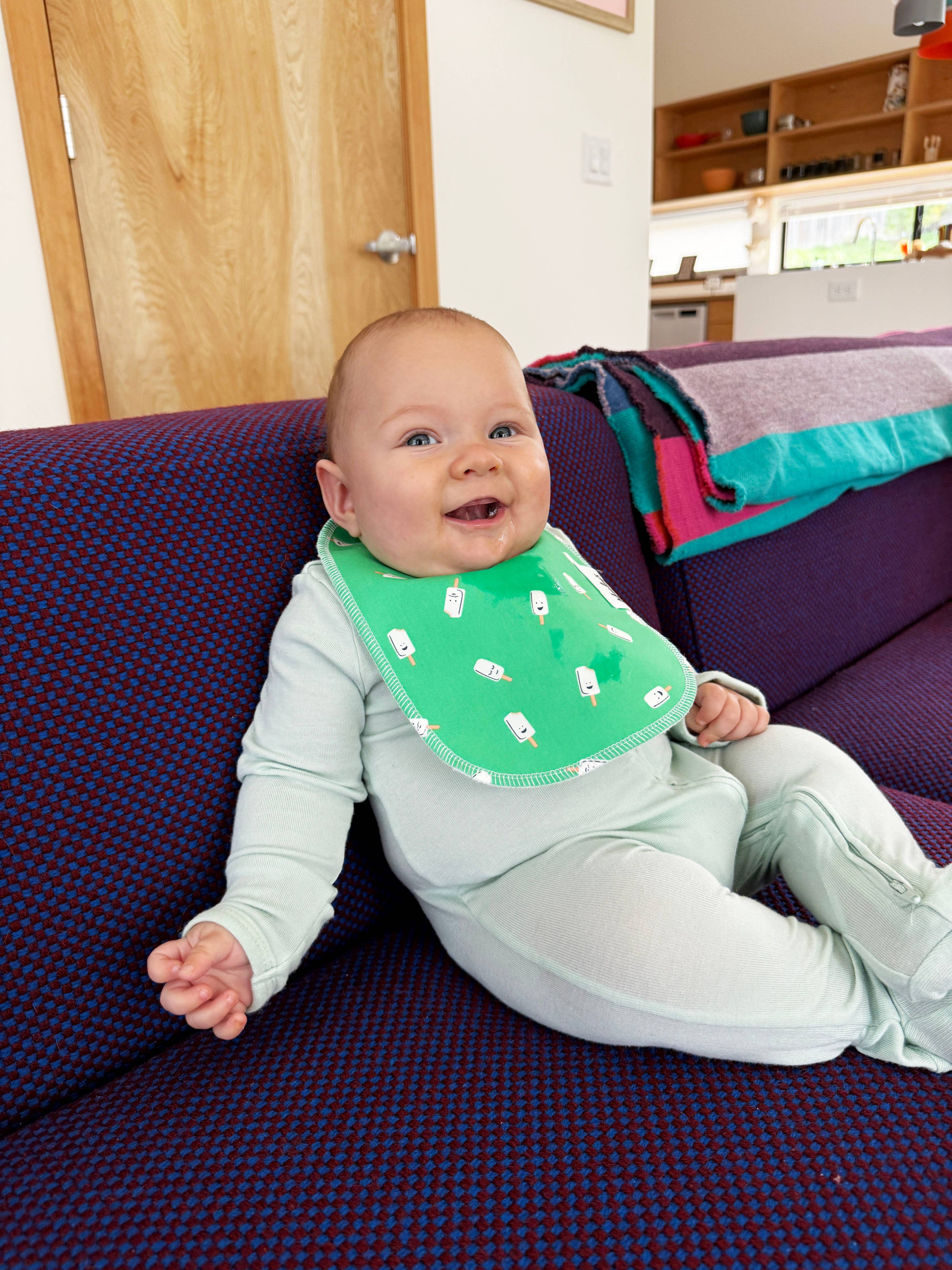 Baby Bib: Timeless Prints