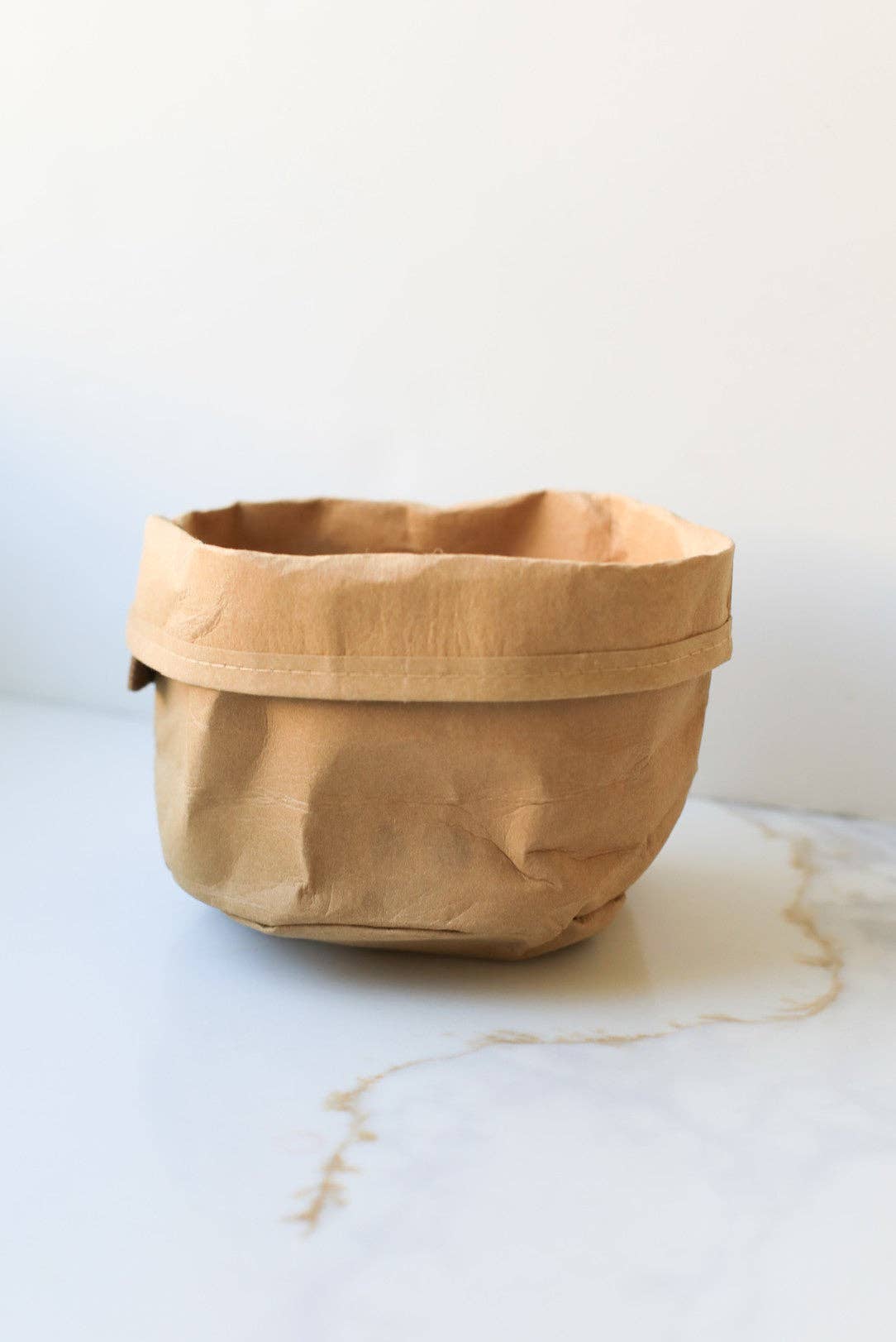 Washable Paper Bag