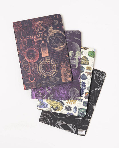 Moonlit Night Pocket Notebook