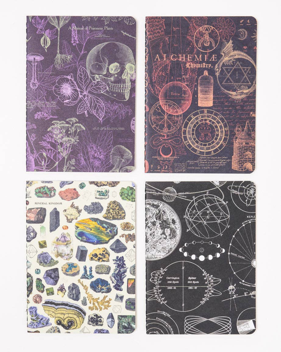 Moonlit Night Pocket Notebook