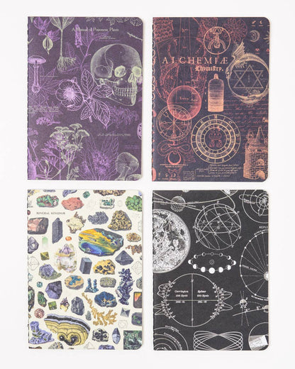 Moonlit Night Pocket Notebook