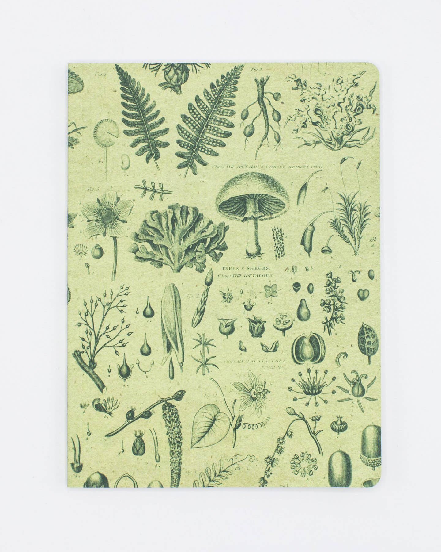 Plants &amp; Fungi Softcover Notebook - Dot Grid