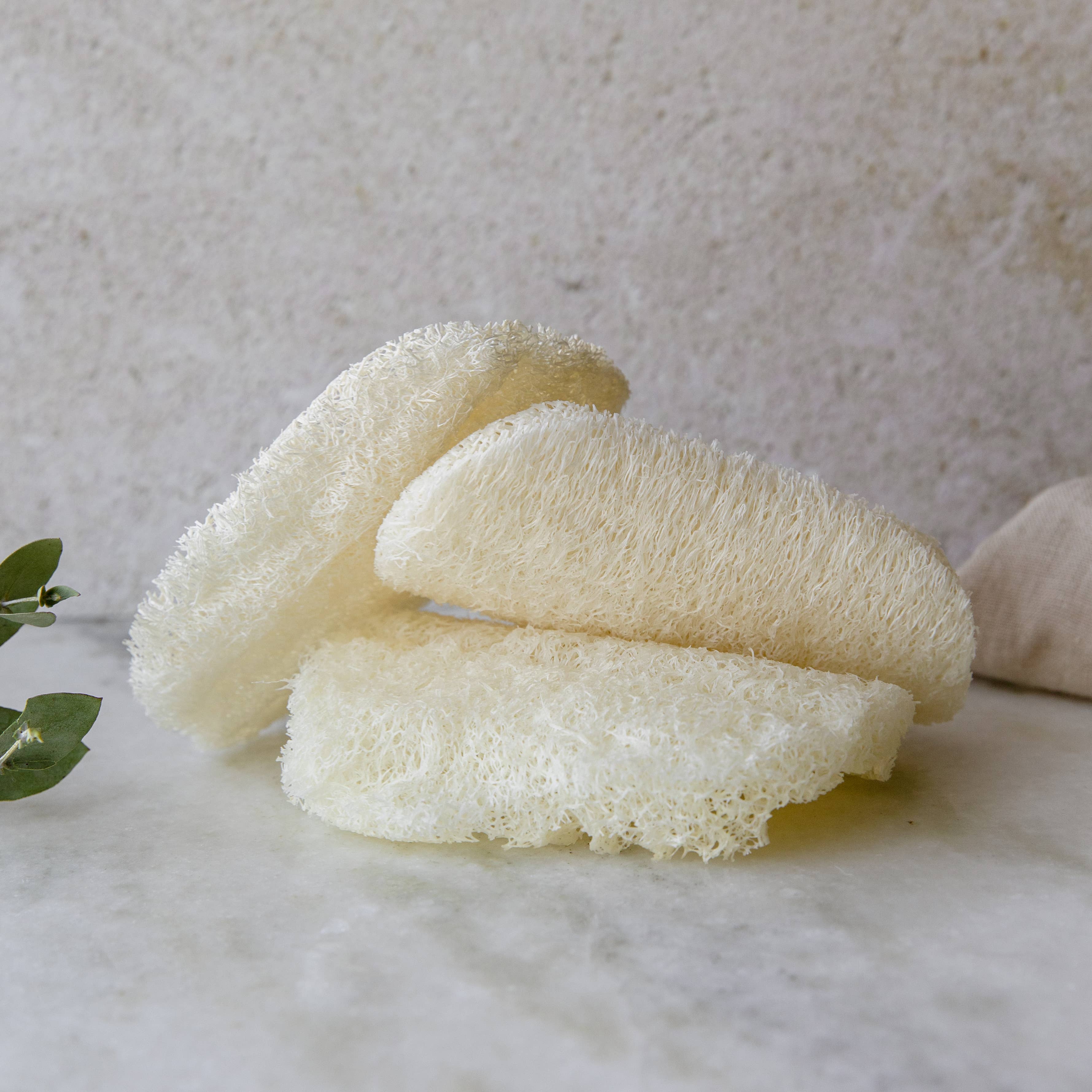 Compostable Dish Sponge 3-Pack | Eco Friendly, Zero Waste