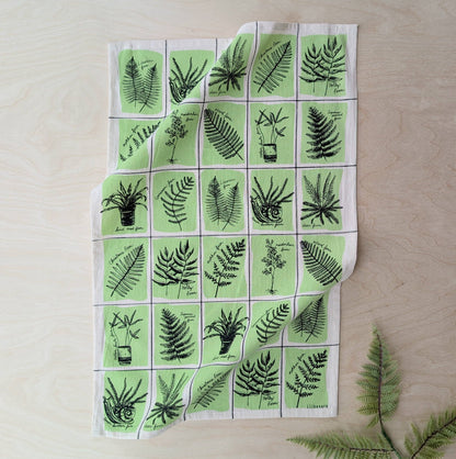 Tea towel | fern specimens - cotton flour sack kitchen dish cloth
