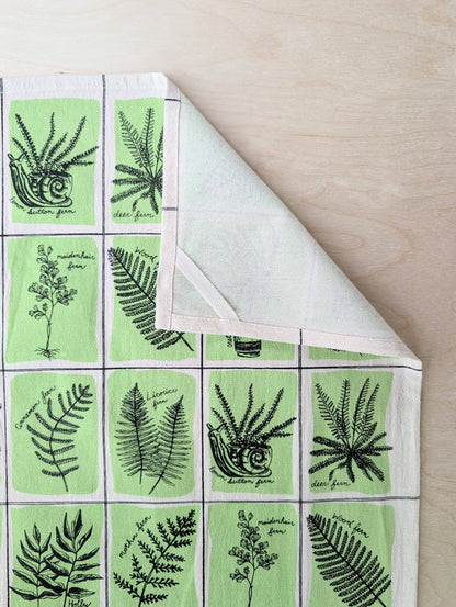 Tea towel | fern specimens - cotton flour sack kitchen dish cloth