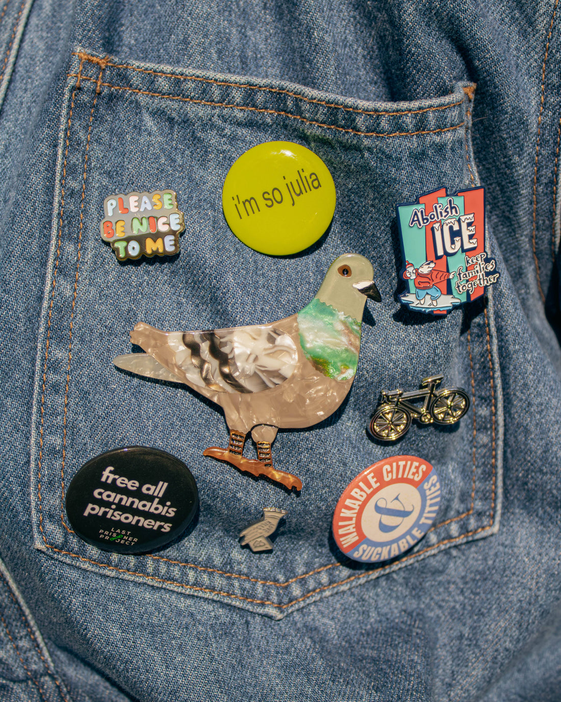 Pigeon Brooch