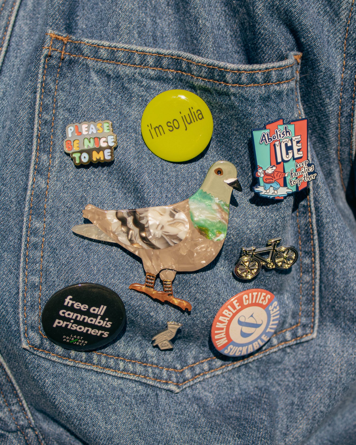 Pigeon Brooch