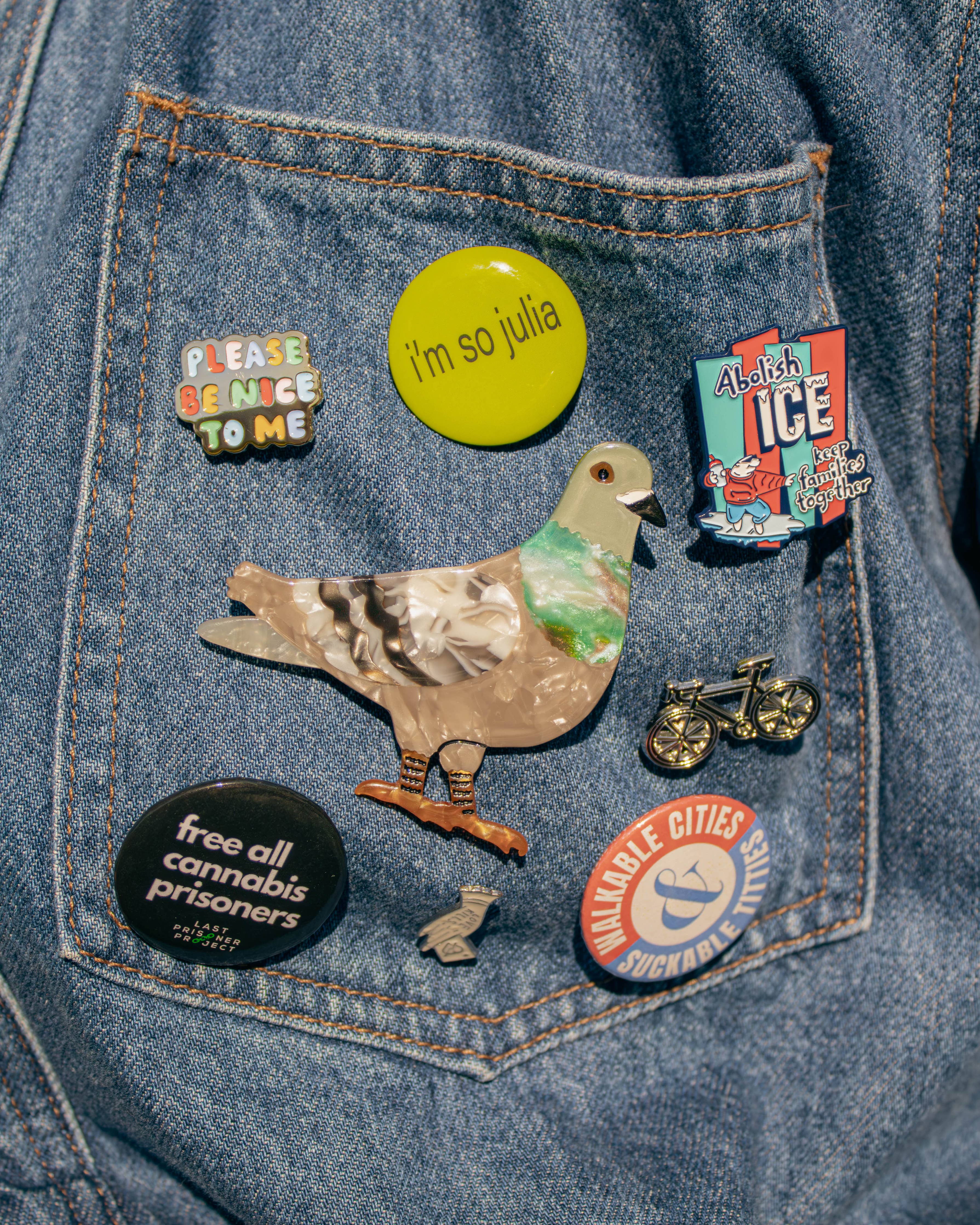 Pigeon Brooch