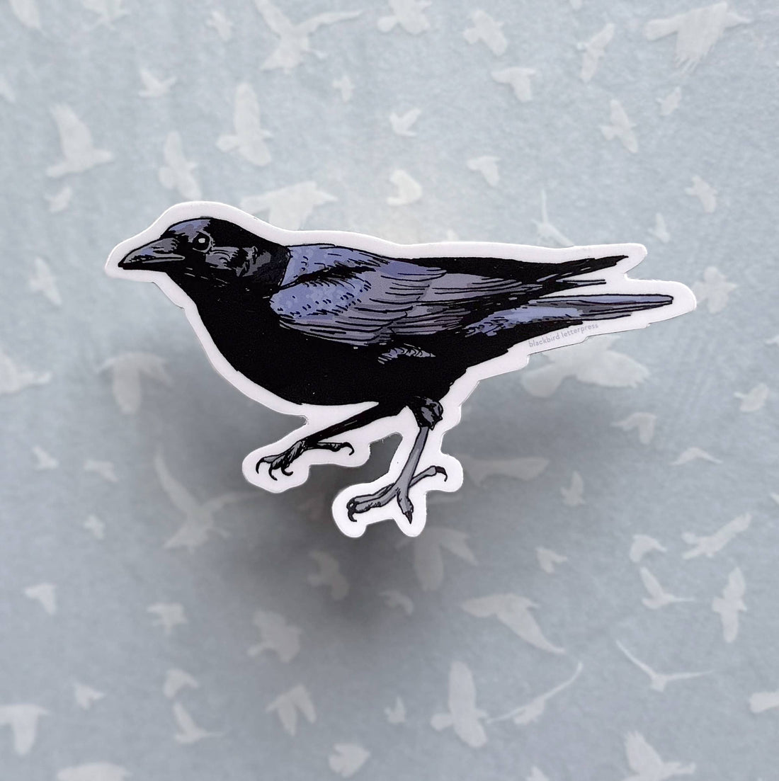American crow sticker