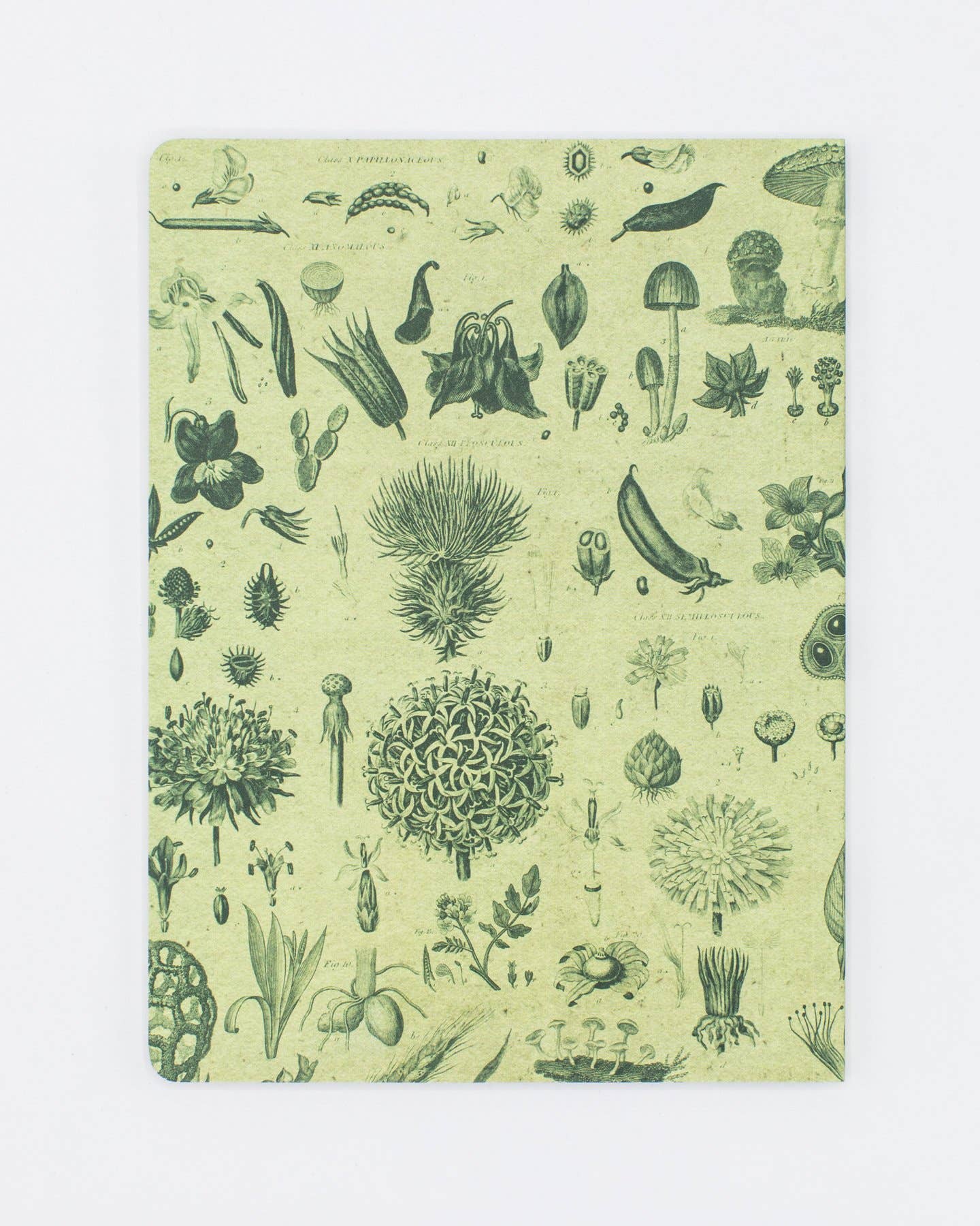 Plants &amp; Fungi Softcover Notebook - Dot Grid