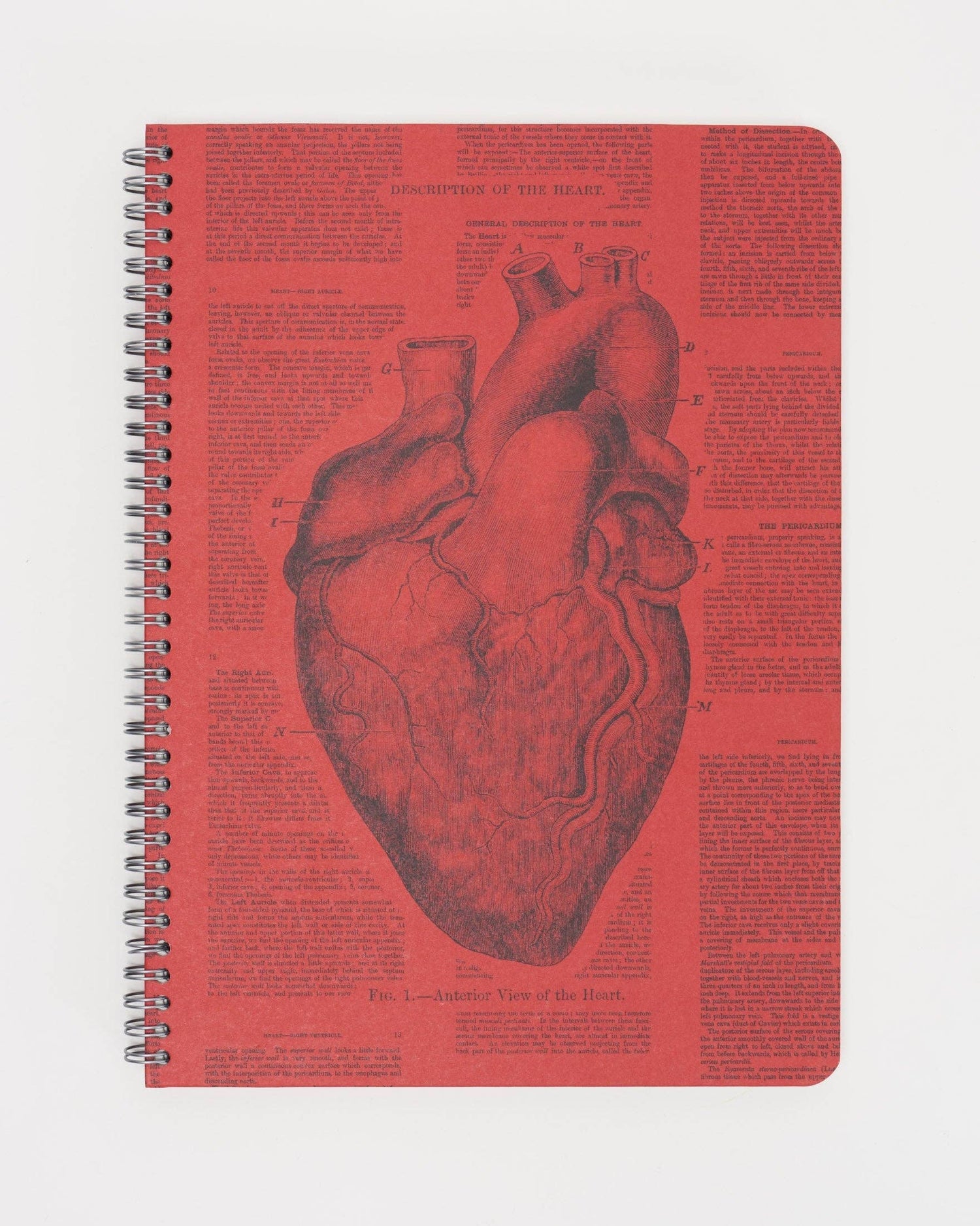 Anatomical Heart Spiral Notebook