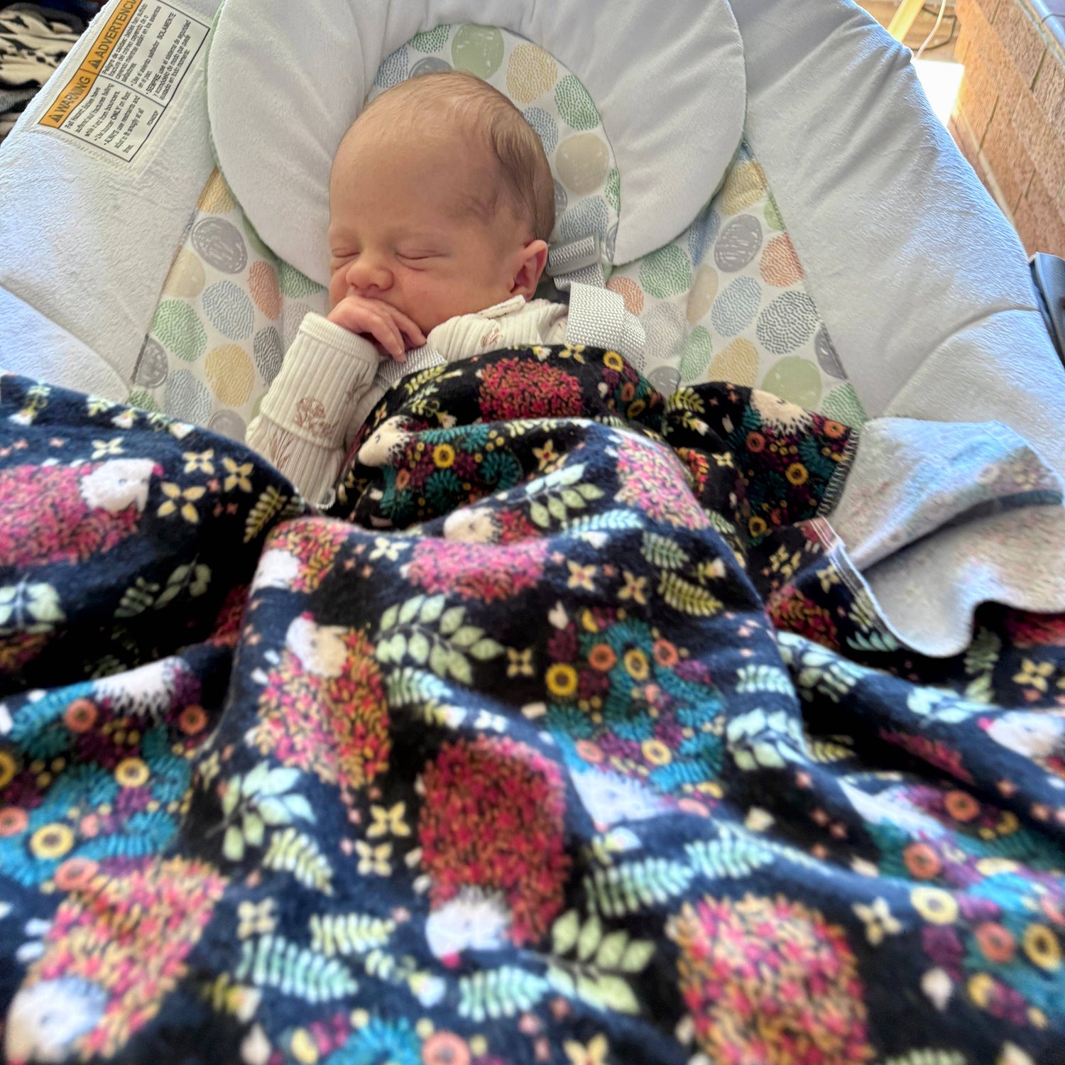 Swaddle Blanket: Flannel