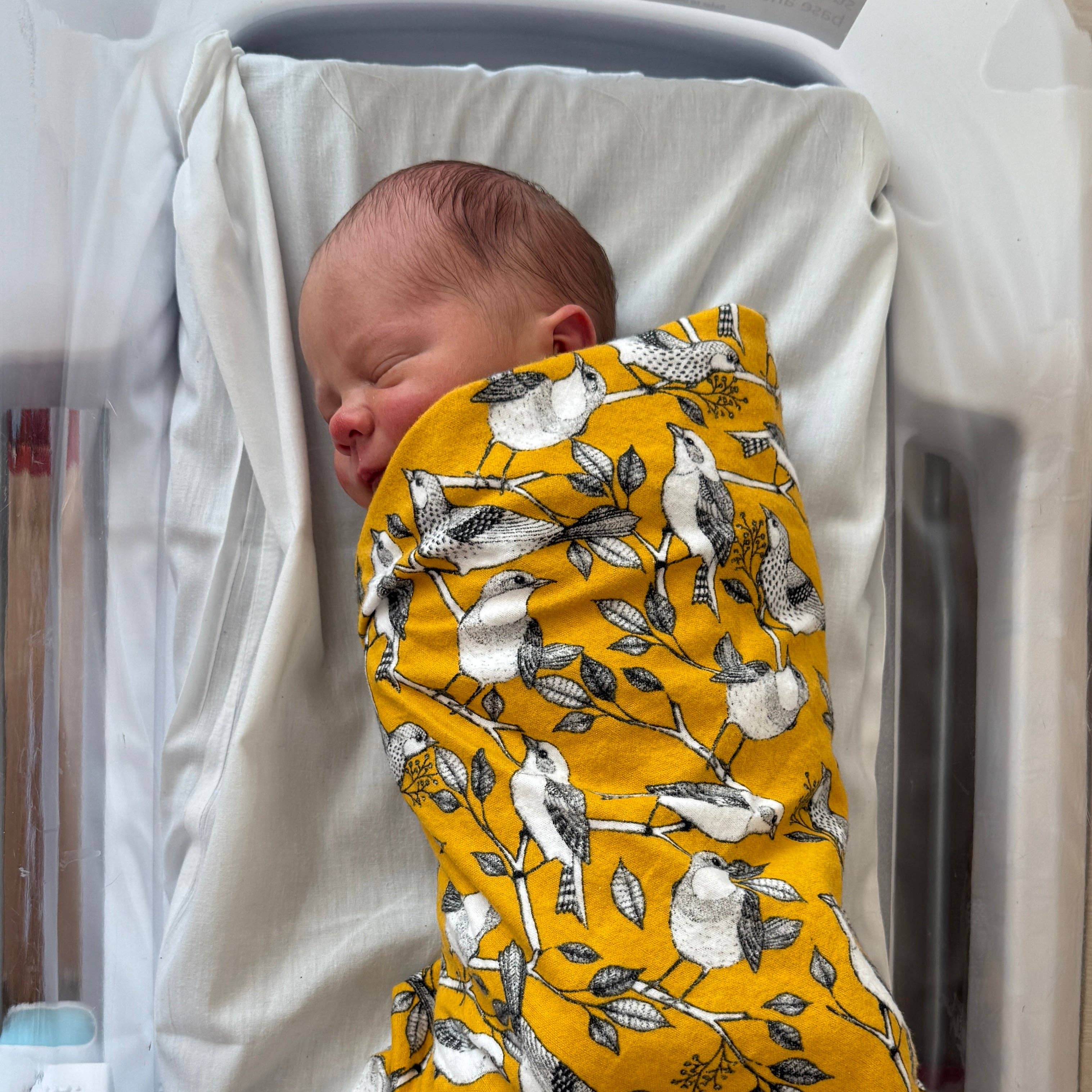 Swaddle Blanket: Flannel