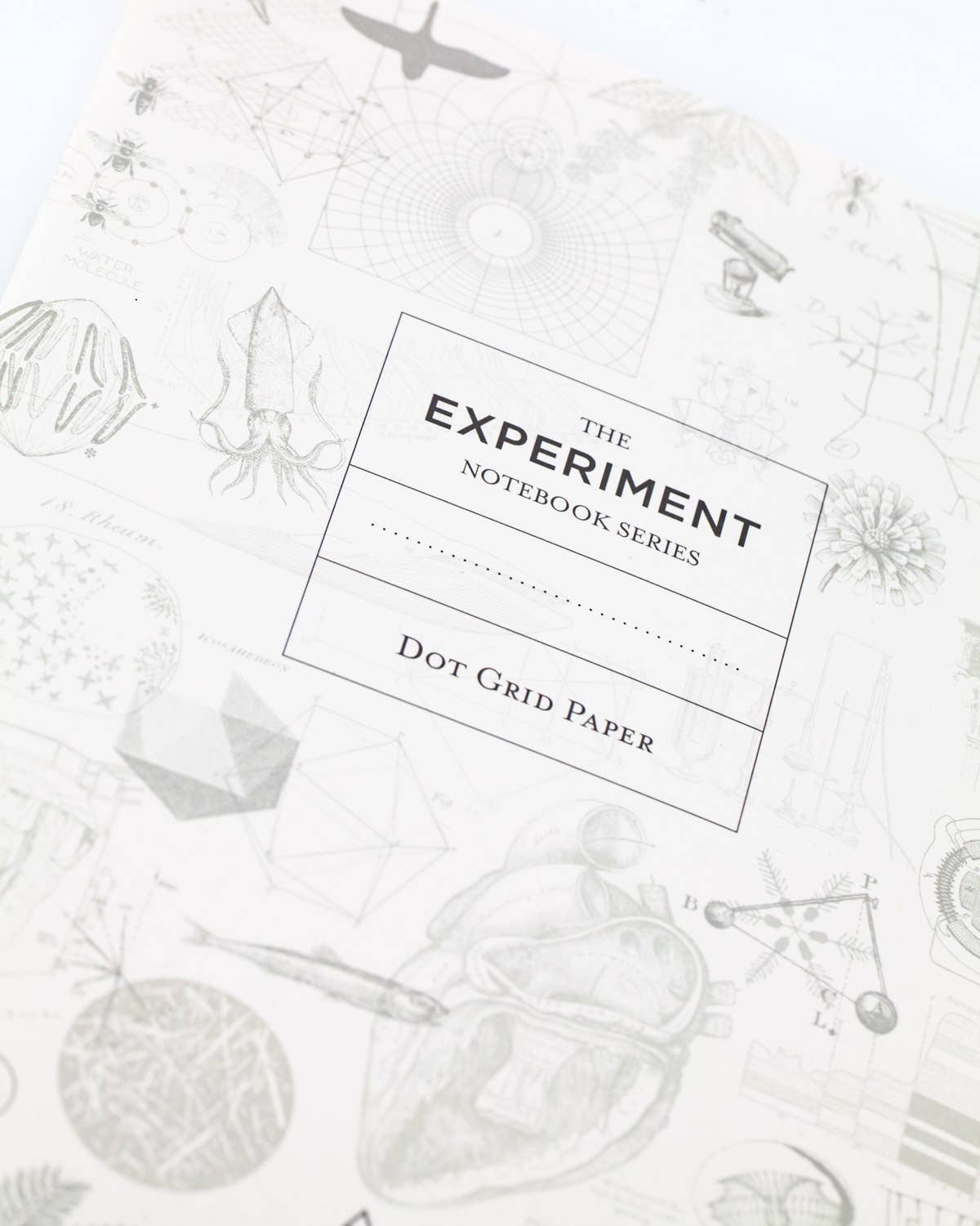 Plants &amp; Fungi Softcover Notebook - Dot Grid